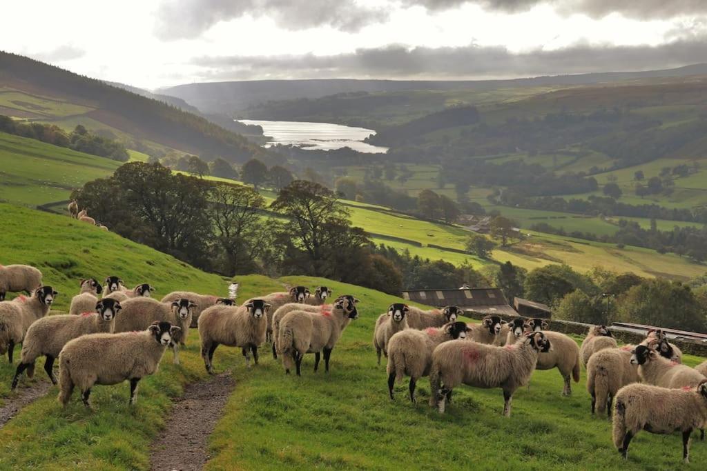 Wensleydale Halls Leyburn Luaran gambar